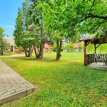 Georgina - Biro Tours Nr 60 * Vonyarcvashegy
